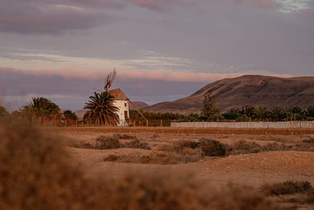 fuerteventura4