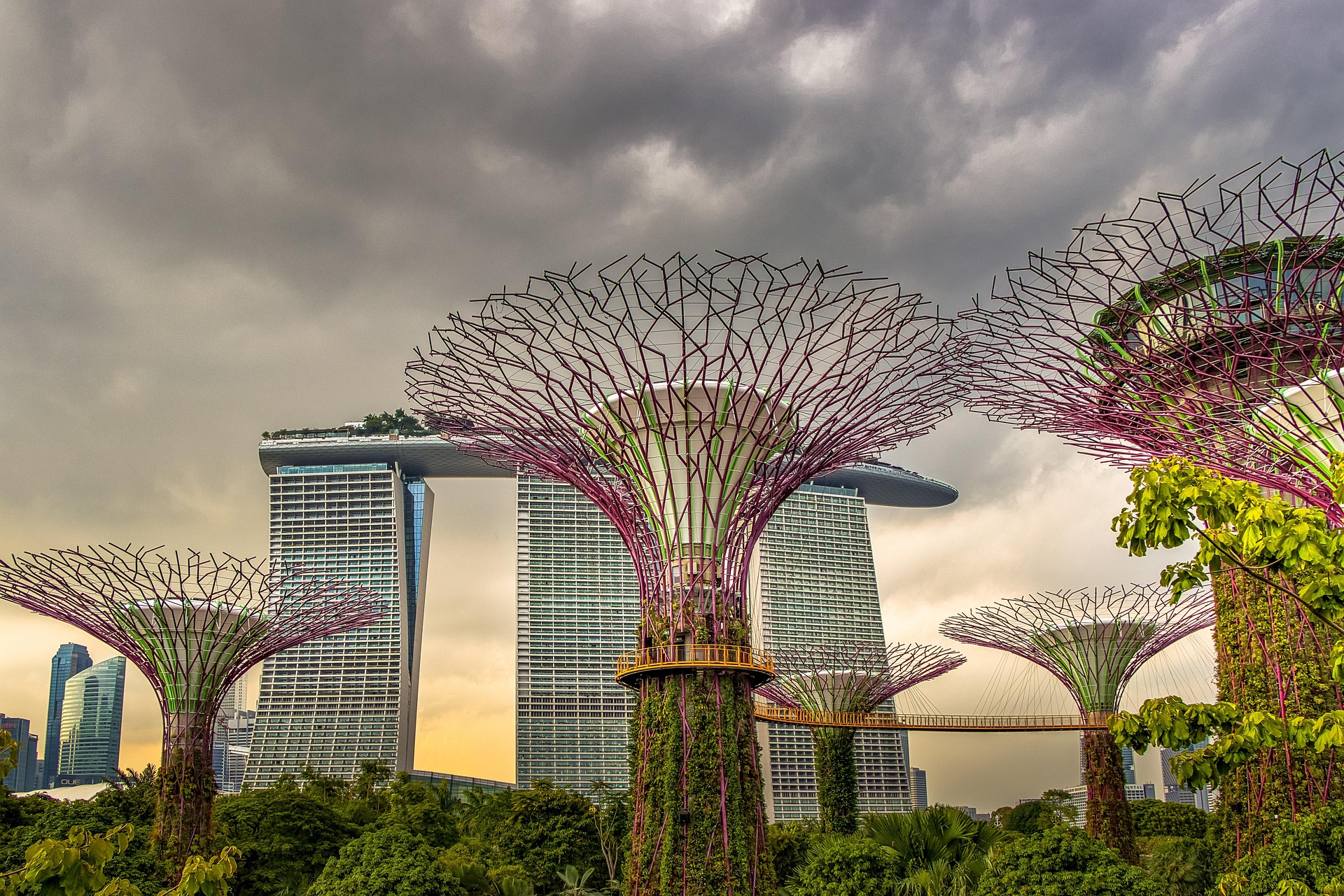 nextvoyage-singapore-5003921_1920